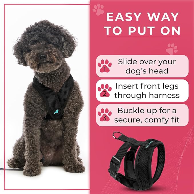 Gooby Comfort X Head In Harness - Black, Medium - No Pull Small Dog Harness Patented Choke-Free X Frame - Perfect on the Go Dog Harness for Medium Dogs No Pull or Small Dogs for Indoor and Outdoor Use