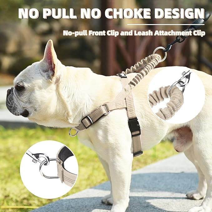 PUPTECK No Pull Dog Harness Small Sized Dog, Adjustable Reflective Pet Vest Harness with Bungee Handle, Escape Proof No Choke Harness for Small Dogs Walking Training, Beige S