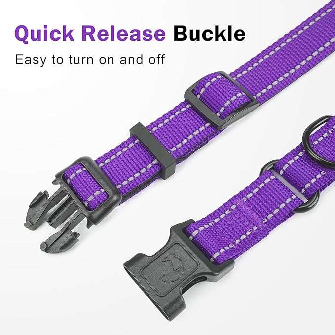 Martingale Collar for Dogs with Quick Release Buckle, Reflective Soft Padded & Escape Proof, Adjustable Nylon Dog Collars for Training & Daily Walking (Purple,M)