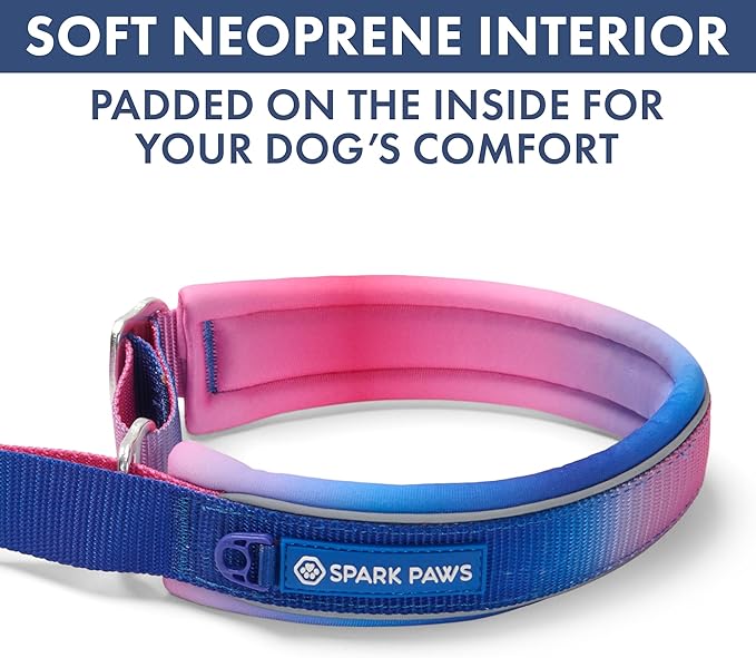Spark Paws Martingale Dog Collar – Cushioned Slip-On Training Collar, Heavy Duty, Safety-Tested No-Buckle Collar for Medium & Large Dogs - Snow Cone - D
