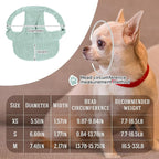 Jadive Small Dog Sun Hat with Ear Holes, Dog Cat Sunglasses with Anti-Slip Silicone Rope Baseball Cap Adjustable Puppy Sunbonnet Headdress Beach Visor Hat for Puppies Summer Outdoor(Green)