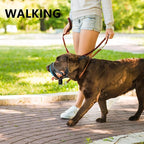 Dog Head Collar with Soft Fabric, Dog Head Harness to Stop Pulling with Adjustable Loop(S,Blue)