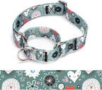 Martingale Dog Collars - Flower Multicolor Cute Patterns, Adjustable Nylon Training Dog Collar Suitable for Boy and Girl Dogs Medium Large Dogs (14, M)