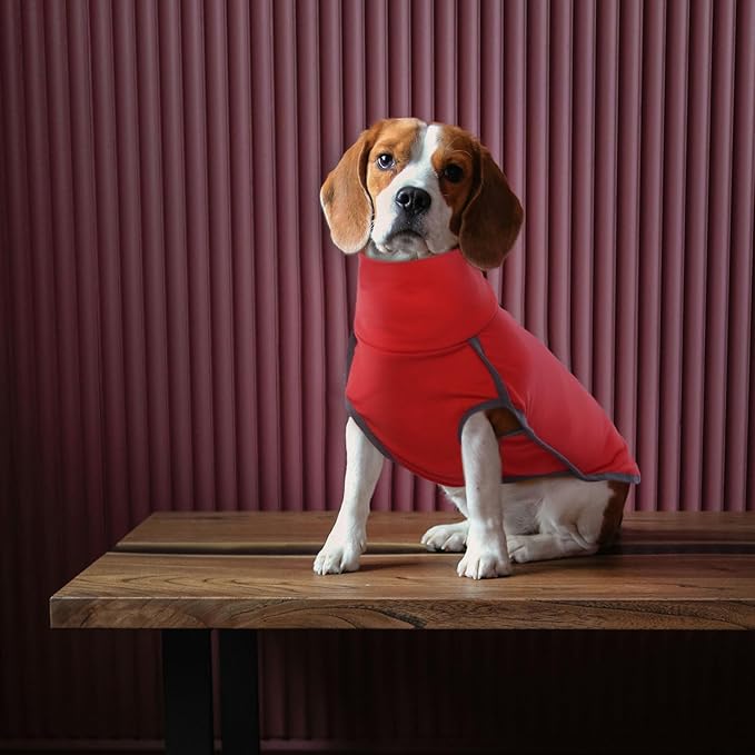 ROZKITCH Dog Winter Coat Soft Pullover Pajamas, Pet Windproof Warm Cold Weather Jacket Vest Cozy Jumpsuit Apparel Outfit Clothes for for Chritmas Walking Sleep BrightRed S