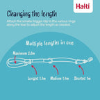 Halti Optifit Headcollar & Halti Training Leash Size Large, Black Combination Pack - Stop Your Dog Pulling on the Leash. Adjustable with Padded Nose Band. Suitable for Large Dogs