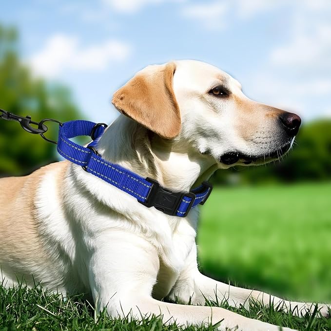 Martingale Collar for Dogs with Quick Release Buckle, Reflective Soft Padded & Escape Proof, Adjustable Nylon Dog Collars for Training & Daily Walking (Royal Blue,M)