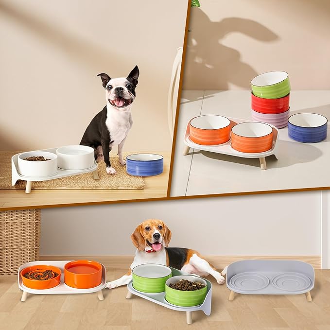 Raised Dog Feeder Bowl Stand - Elevated Dining Table for Small and Medium Dogs and Cats - Fits Food and Water Dish up to 6" Diameter - Milky White (Bowls Not Included)