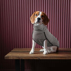 ROZKITCH Dog Winter Coat Soft Pullover Pajamas, Pet Windproof Warm Cold Weather Jacket Vest Cozy Jumpsuit Apparel Outfit Clothes for Walking Hiking Travel Sleep Stripe 3XL