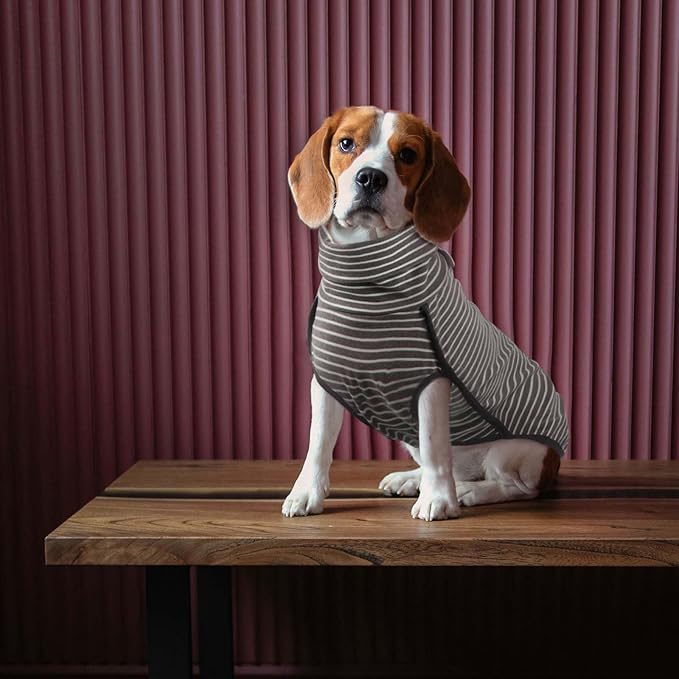 ROZKITCH Dog Winter Coat Soft Pullover Pajamas, Stripe Pet Windproof Warm Cold Weather Jacket Vest Cozy Jumpsuit Apparel Outfit Clothes for Walking Hiking Travel Sleep Stripe L
