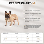 Dog Door,Pet Door, Medium-Sized All-Aluminum Black Pet Door Suitable for Pets Weighing No More Than 45 Pounds, Sturdy and Durable.