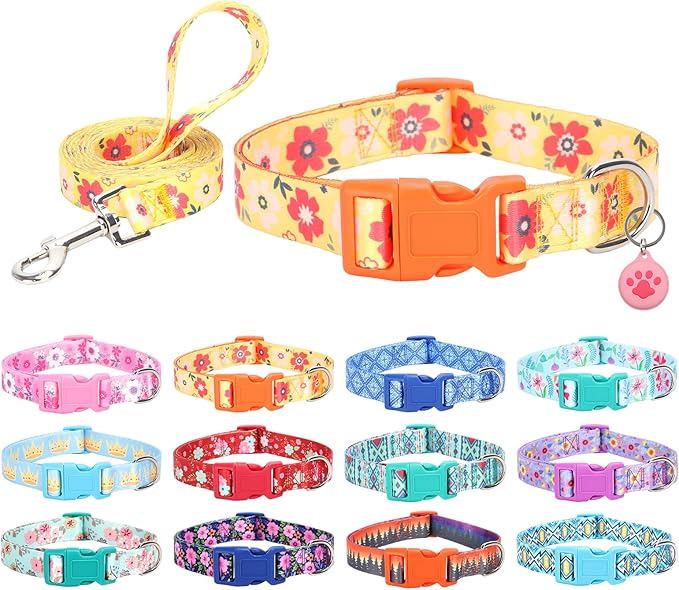 Dog Collar with Leash Airtag Holder Case Set - Dog Collars for Male Female Boy Girl Puppy X-Small Small Medium Large Dogs Walking Running Training - Orange Daisy/M