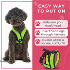 Gooby Comfort X Head In Harness - Green, Medium - No Pull Small Dog Harness Patented Choke-Free X Frame - Perfect on the Go Dog Harness for Medium Dogs No Pull or Small Dogs for Indoor and Outdoor Use