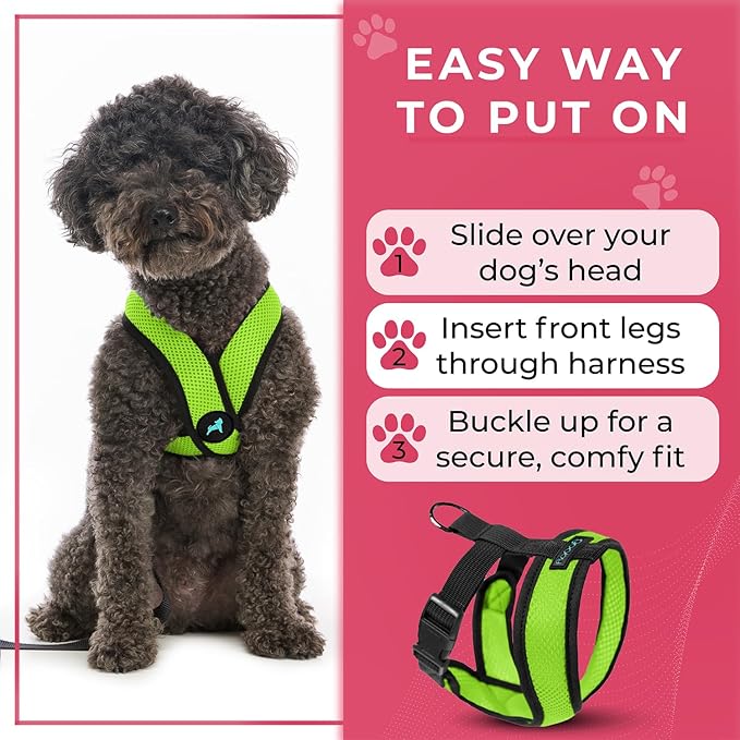 Gooby Comfort X Head in Harness - Green, Small - No Pull Dog Harness with Patented Choke-Free X Frame for Small to Medium Dogs Indoor/Outdoor Use