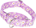 1.5 Inch Martingale Dog Collar - No Pull Daisy Design Nylon Training Collar for Medium, Large & XL Dogs | Heavy Duty Adjustable Choke-Free Collar for Large Breed Pets (Purple Daisy L