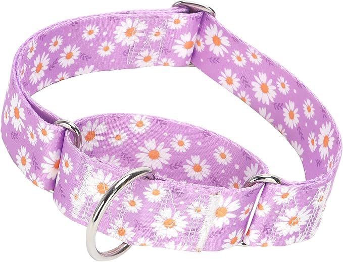 1.5 Inch Martingale Dog Collar - No Pull Daisy Design Nylon Training Collar for Medium, Large & XL Dogs | Heavy Duty Adjustable Choke-Free Collar for Large Breed Pets (Purple Daisy L