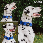 Tuff Pupper Heavy Duty Tactical Dog Collar | 1.5" Wide Ballistic Nylon | Reflective Stitching | Integrated ID Tag Holder | Stainless Steel Buckle | Padded Lining | Medium & Large Dogs (Blue, Large)
