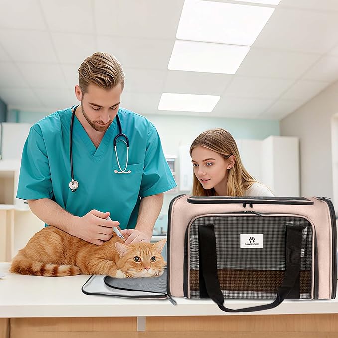 Cat Carrier Dog Carrier - Soft-Sided Cat Carrier with Plush Pad & Cooling Mat, Easy-Load 4-Side Zipper & 3-Side Mesh Ventilation, Pet Carrier Airline Approved for Cats/Dogs Up to 16 lbs, Brown