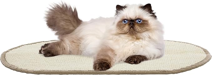 SAFAVIEH Cat Scratch Mat Pad Collection, 12" x 20", Oval, Ivory, Sisal & Jute Boucle Weave, Velcro & Slip Resistant Backing