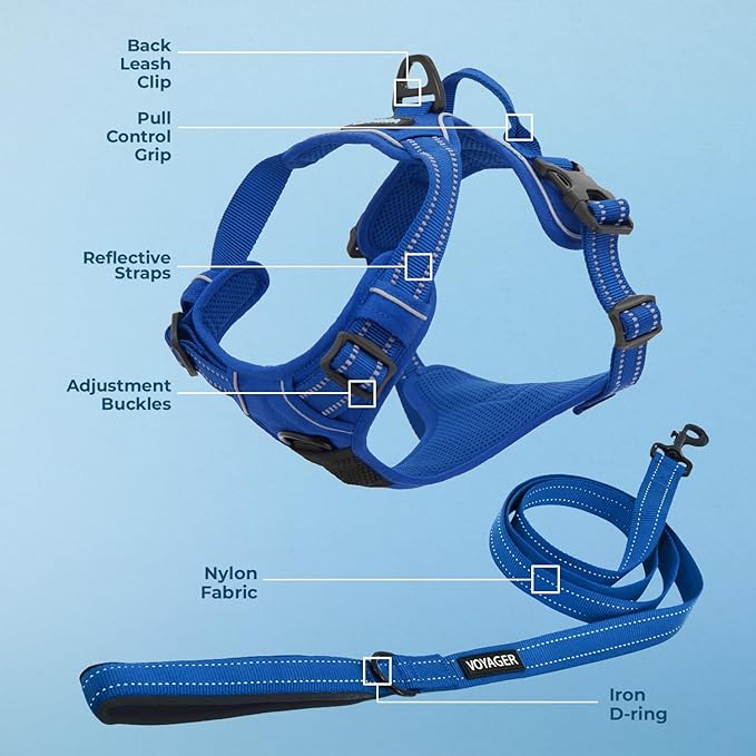 Voyager Dog Harness Dual Leash Attachment No-Pull Control Adjustable Soft but Strong Pet Harness for Medium and Large Dogs with 3M Reflective Technology, Leash Set Royal Nylon, M (Chest: 20-25")
