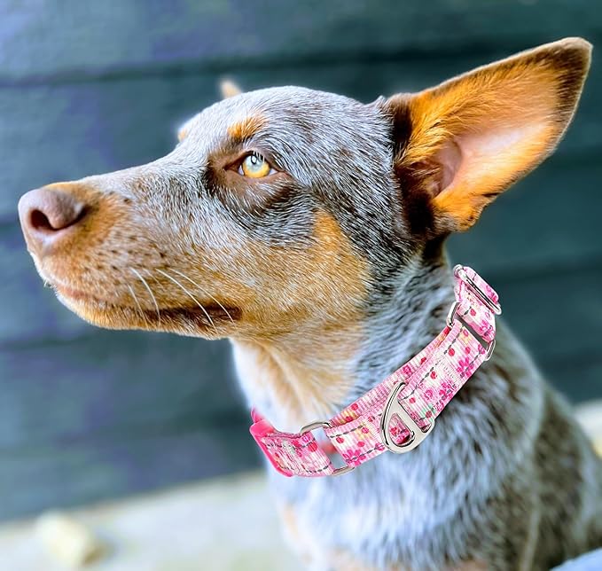 Pink Floral Martingale Collar for Dogs - Reflective Nylon with Quick Release Buckle & Padded Comfort - No Slip Choke Heavy Duty Collar for Training, Walking & Nighttime Use M