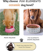 FE FUN ELEMENTS Ceramic Dog Bowls for Small Dogs, 16 Fl Oz Heavy Food and Water Bowl with Adorable Patterns (Small, Pink)