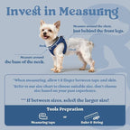 rabbitgoo Small Dog Harness, Step-in Soft Mesh Puppy Vest with Safety Buckle, Breathable Reflective Pet Harness for Small Medium Dogs, Navy Blue L