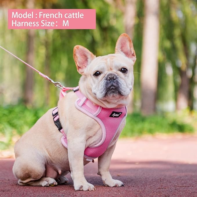 PUPTECK Small Dog Harness and Leash Set, No Pull Adjustable Puppy Cat Harness, Reflective Soft Mesh Pet Vest Small Sized, Pink, L