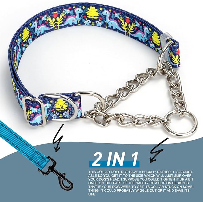 Martingale Dog Collar - Adjustable Anti-Pull Training Collar with Safe Choke Chain Design,Dinosaur Pattern for Medium,Large & XL Dogs (Dinosaur Large)