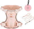 Petmolico Dog Harness for Small Dogs, Cute Harness Vest with Two Leash Clips and Soft Handle, Reflective Easy Walk Puppy Vest - Pink, X-Small