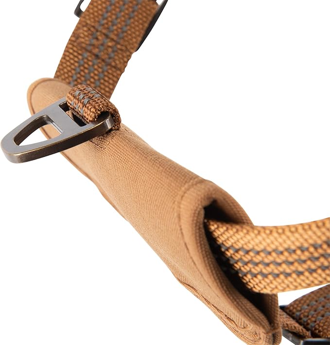 Carhartt Nylon Duck Comfortable Training Dog Harness, Fully Adjustable No Choke Rugged On-Leash Training Harness with Dual Attachment Points, Small