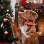 DAGANXI Christmas Tactical Dog Collar, Adjustable Military Training Nylon Dog Collar with Control Handle and Metal Buckle for Medium and Large Dogs, with Patches and Airtags Case (XL, Christmas red)