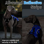 rabbitgoo Escape Proof Dog Harness, Soft Padded Full Body Pet Harness, Reflective Adjustable No Pull Vest with Lift Handle and Leash Clip for Large Dogs Walking Hiking Training, L, Blue