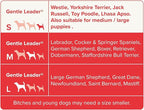 Beaphar | Gentle Leader | Head Collar for Small Dogs | Stops Pulling On The Lead | Training Aid with Immediate Effect | Endorsed by Behaviourists | Black x 1