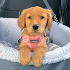 Best Pet Supplies Voyager Adjustable Step-in Flex Breathable Mesh Dog Harness for Small Medium Large Dogs Leash Set (Pink), XL