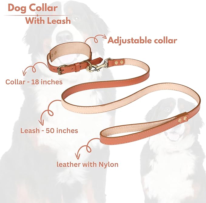 Lightnpro Tan Leather Dog Collar & Leash Set - 18" Adjustable Leather Nylon Collar with Metal Buckle & 50" Durable Lead - Comfortable, Stylish Combo for German Shepherds,Bernards & Other Large Breeds
