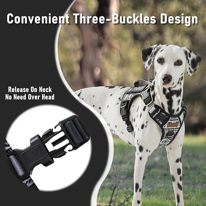 No Pull Dog Harness for Small Dog Breeds, Anti-Escape Easy Walking Reflective Adjustable Lightweight Dog Vest with Breathable Oxford Material, Easy on Easy Off with Neck Buckle,Black Ethnic XS