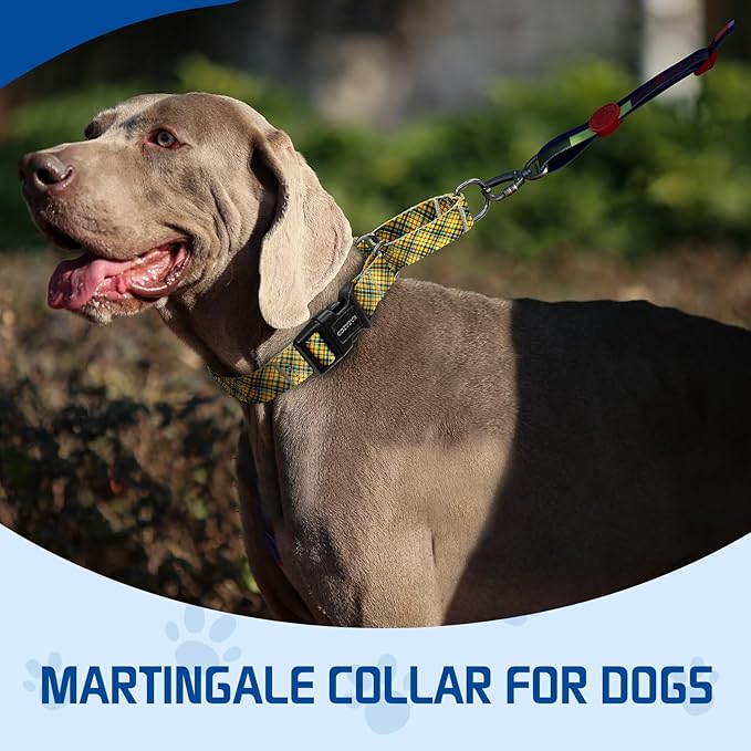 Kazazoo Martingale Collar for Dogs with Quick Release Buckle Adjustable Soft Durable Dog Collar for Small Medium Large No Pull Training Dog Collars-Yellow&Blue XL