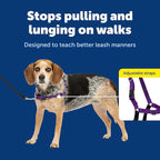 PetSafe Easy Walk Harness for Dogs - Pull-Free Walks - Patented Martingale Loop Design - Front Chest Leash Attachment - Comfort Straps - Breathable Harness Design - Small/Medium, Deep Purple/Black