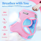 rabbitgoo Dog Harness Small Sized and Leash Set, Step in Soft Light Puppy Vest, Breathable Mesh Pet Harness, Reflective for Safe Easy Walking, Blue & Light Pink XS
