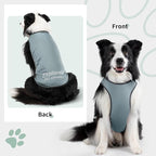 Dog Shirt, Cooling Vest Lightweight Breathable, Dog T-Shirts All-Season UV Protection Pet Clothes Quick Dry Soft Stretchy Pet Shirt Vest for Small Medium Large Dogs (Misty Glade 1PC, Large)