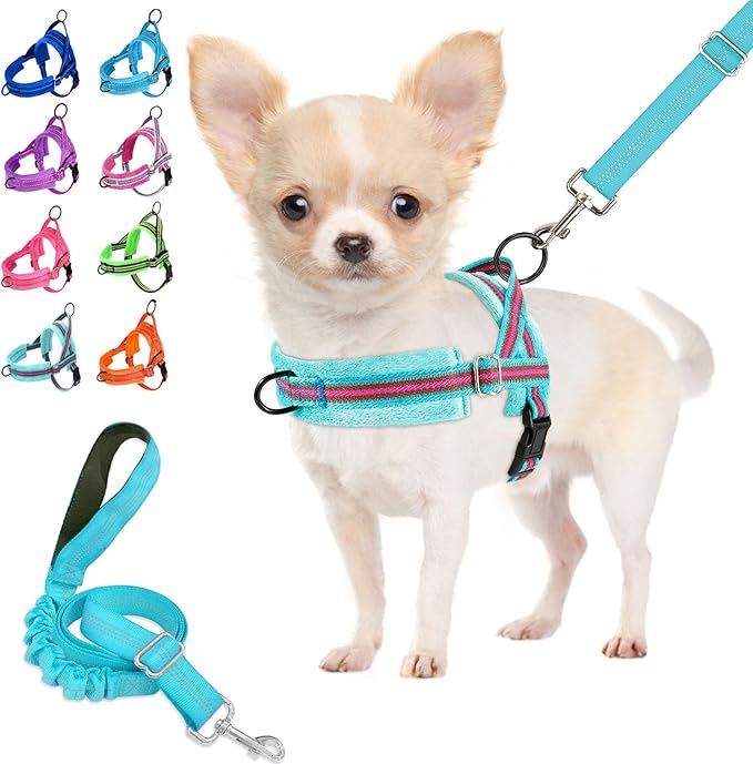 Lukovee No Pull Dog Harness and Leash Set, Soft Padded Small Dog Harness, Neck & Chest Adjustable Reflective Vest Puppy Harness with 4ft Lightweight Anti-Twist Dog Leash for Small Dogs (XXS, 01-LBL)