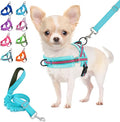 Lukovee No Pull Dog Harness and Leash Set, Soft Padded Small Dog Harness, Neck & Chest Adjustable Reflective Vest Puppy Harness with 4ft Lightweight Anti-Twist Dog Leash for Small Dogs (S, 01-LBL)
