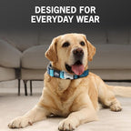 Orange Martingale Collar for Dogs - Heavy Duty Nylon Pet Collars for Escape-free, No Pull Training & Walking with Alloy Metal Release Buckle & Reflective D Ring, One Time Adjustment, Safe & Secure, XL
