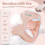 rabbitgoo Dog Harness Small Sized and Leash Set, Step in Soft Light Puppy Vest, Breathable Mesh Pet Harness, Reflective for Safe Outdoor Walking, Pink S