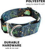 Downtown Pet Supply - Martingale Collar for Dogs - Dog Training Collar - Big, Wide & Thick Dog Collar - Escape-Proof, Weatherproof, Durable and Comfortable - Dino - Large Dog Collar
