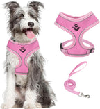 PUPTECK Soft Mesh Dog Harness and Leash Set Pet Puppy Cat Comfort Padded Vest No Pull Harnesses