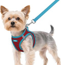 rabbitgoo Dog Harness Small Sized and Leash Set, Step-in Breathable Pet Harness, Soft Walking Reflective Puppy Vest for Small Dogs, Red & Teal, XS