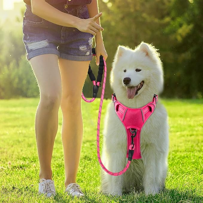 BARKBAY Dog Harness No Pull with ID Tag Pocket - Heavy Duty, Reflective, Easy Control for Large Dogs(Pink,M)
