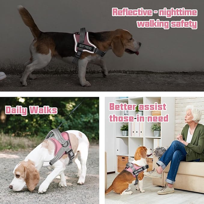 AUROTH Dog Harness and Leash Set, Soft Padded Service Dog Vest with 5.25FT Dog Leash, No Choke, Easy On Pet Vest, Adjustable Reflective No Pull Pet Vest Medium Sized Dog, Easy Walking and Training