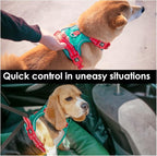 PHOEPET No Pull Dog Harness, Unique Colors Reflective Adjustable Dog Vest, with Soft Training Handle Metal Clips for Small Medium Large Dogs (Dark Green Base & Red Straps,S)